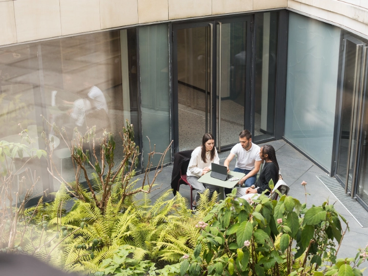 two women and man at a table in a courtyard image